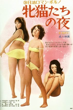 性感野猫之夜 1972 电影 海报