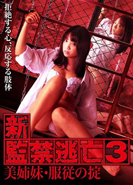 新监禁逃亡3:美姐妹服从守则 2010 电影 海报