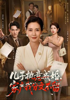 儿子执意成婚，家产我分文不留 2026 短剧 海报